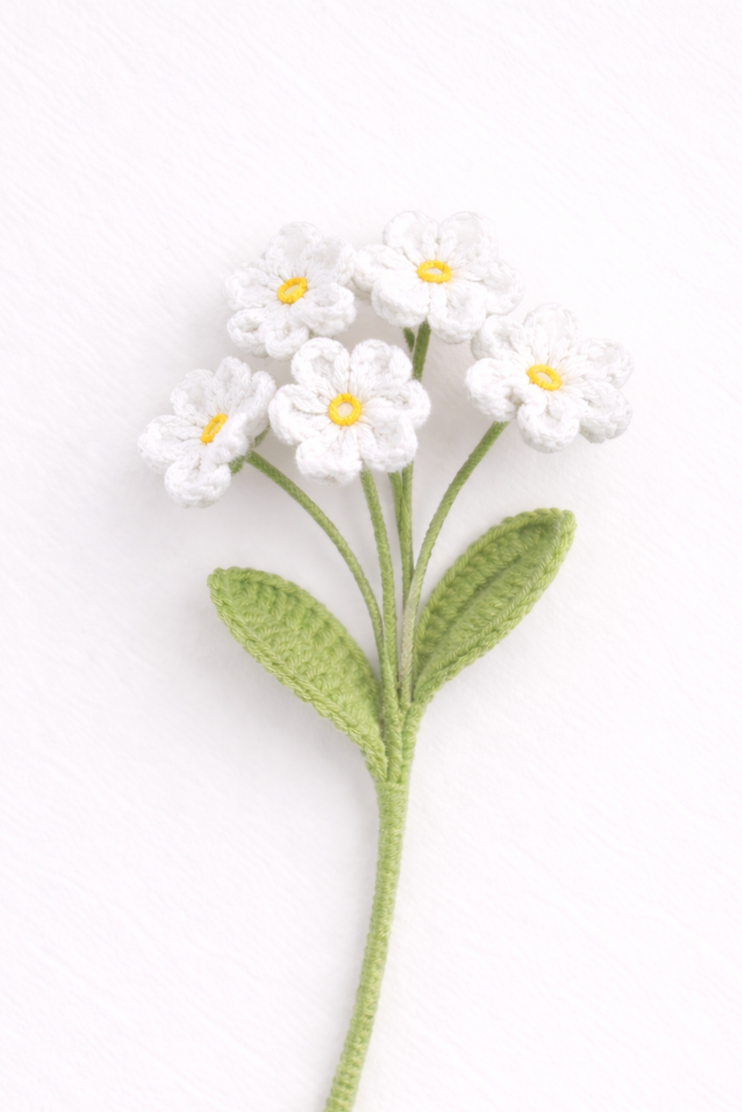 Forget Me Not White