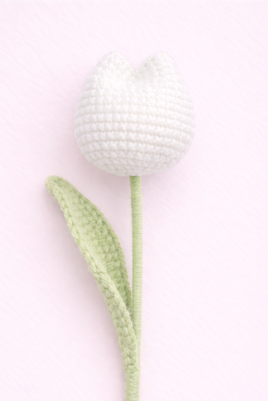 Tulip White