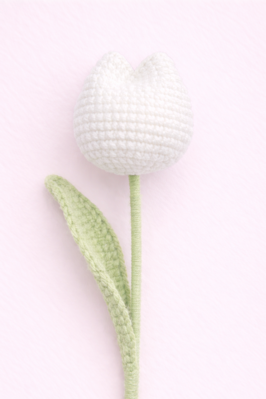 Tulip White