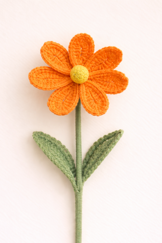 Cosmos Orange