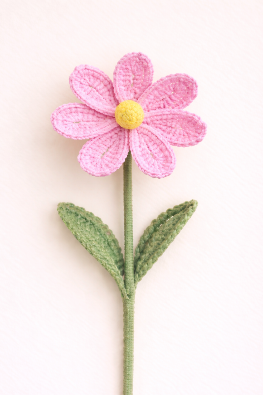 Cosmos Pink