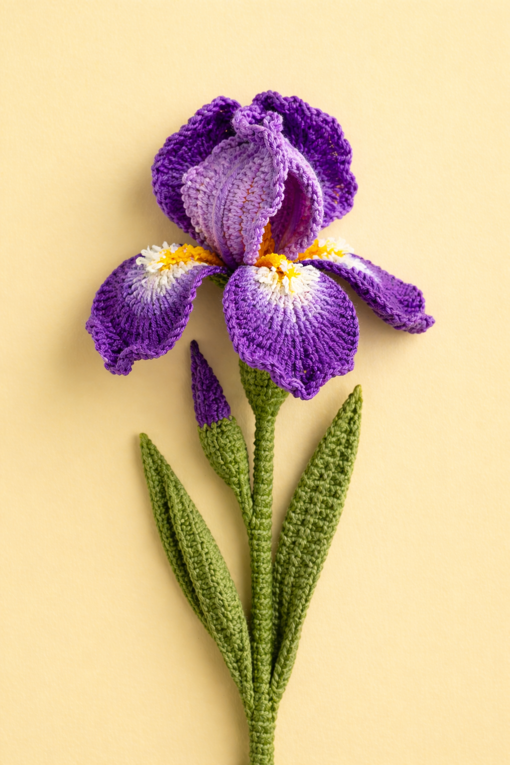 Iris