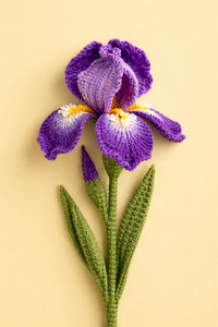 Iris