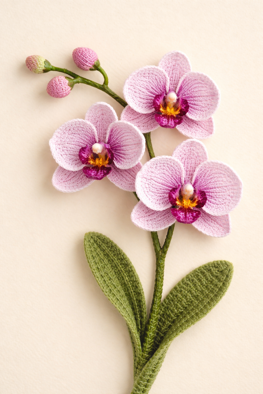Orchid