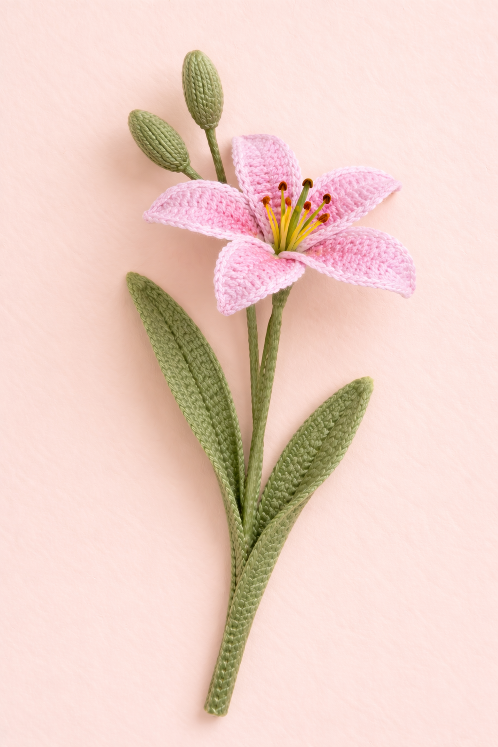 Asiatic Lily