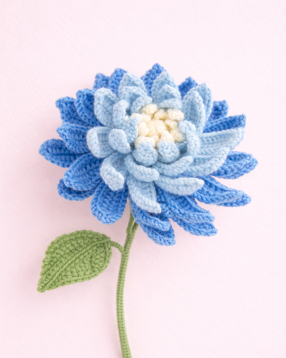 Blue Dahlia