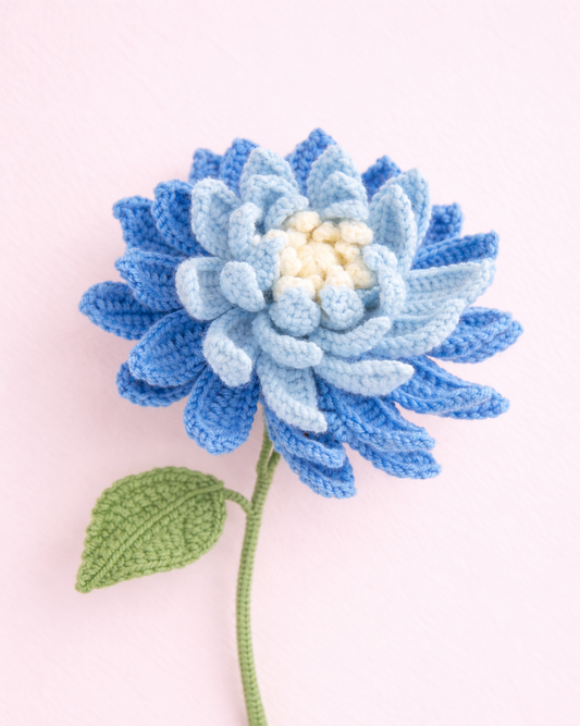 Blue Dahlia