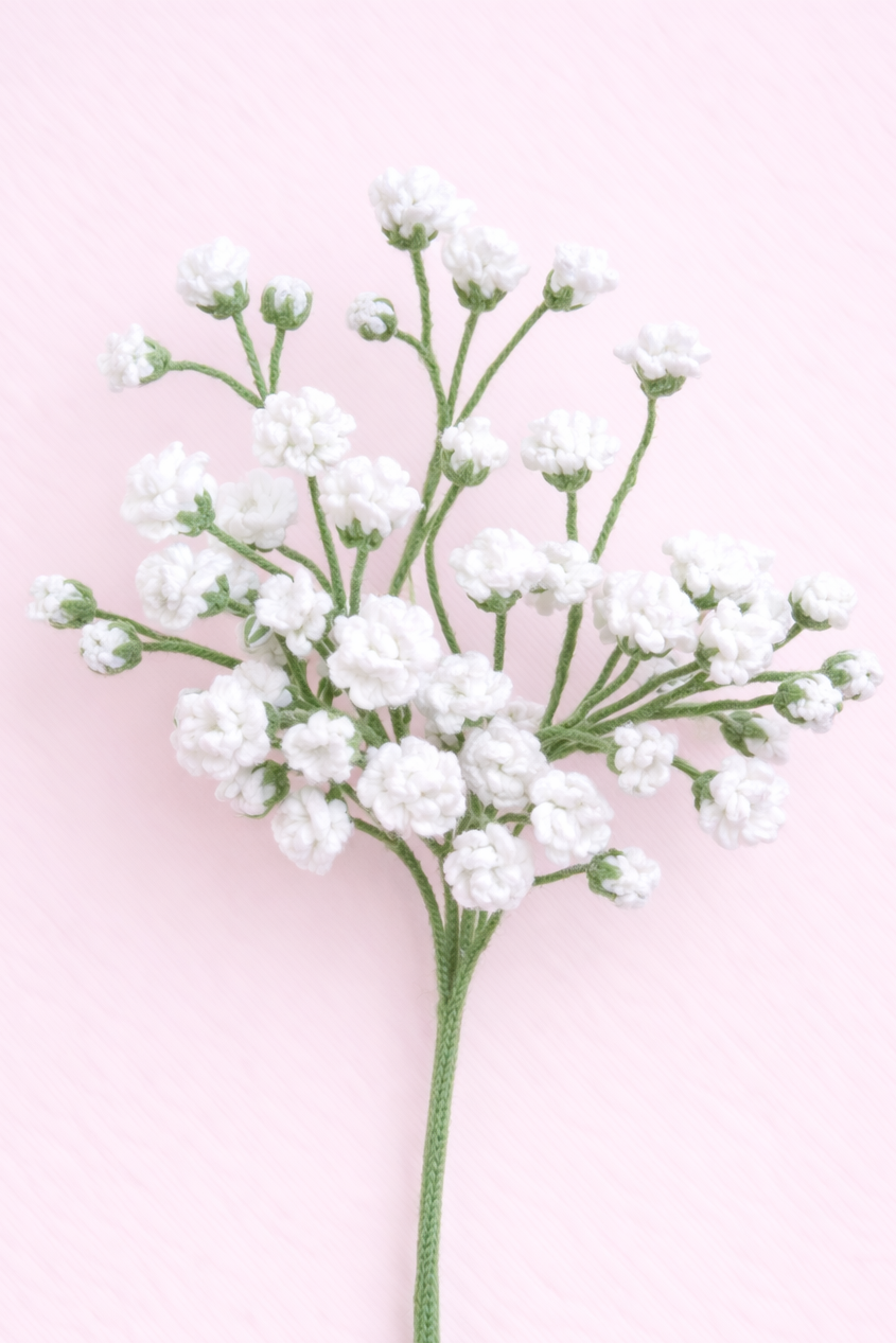Babys Breath