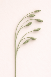 Filler Greenery