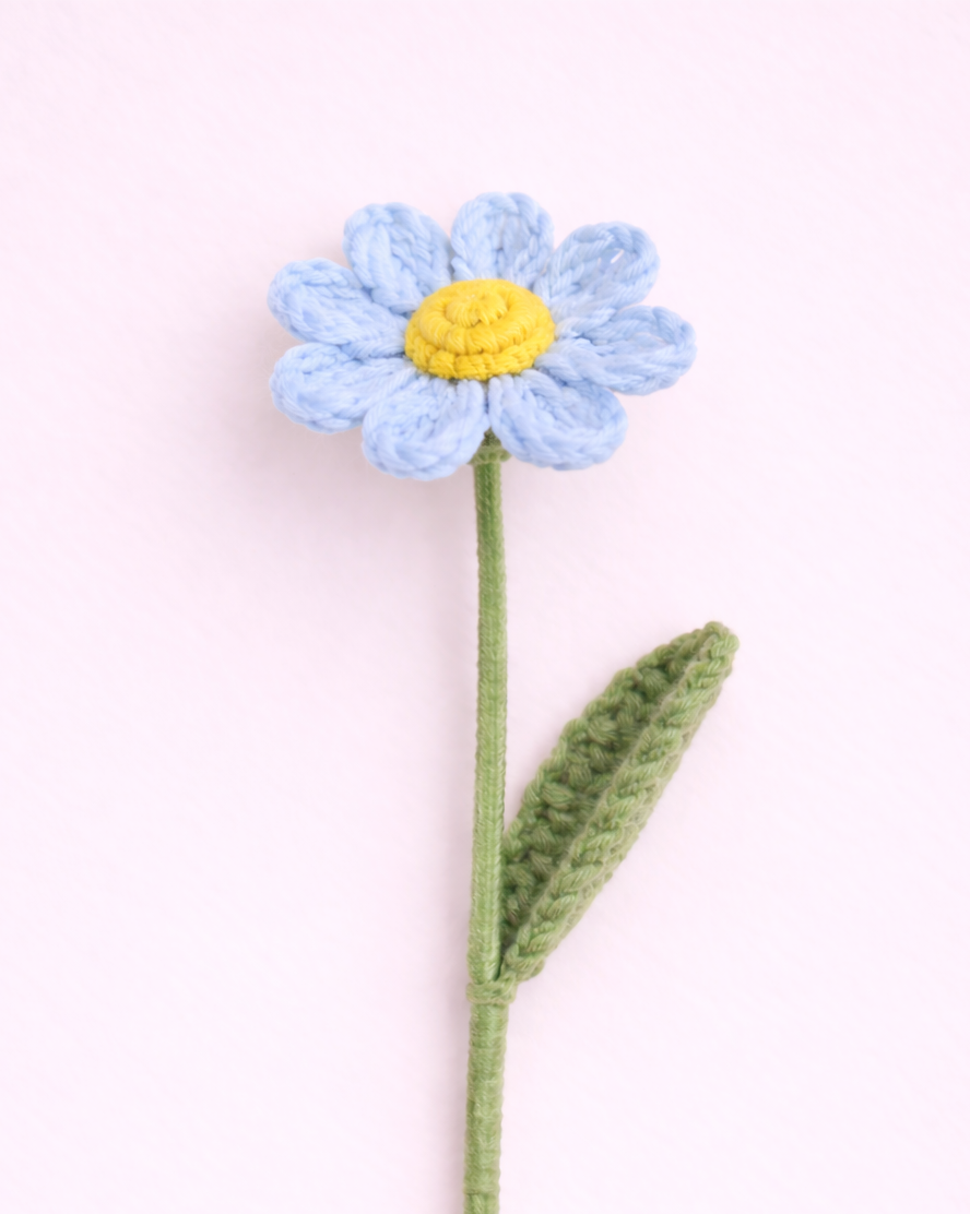 Daisy Blue