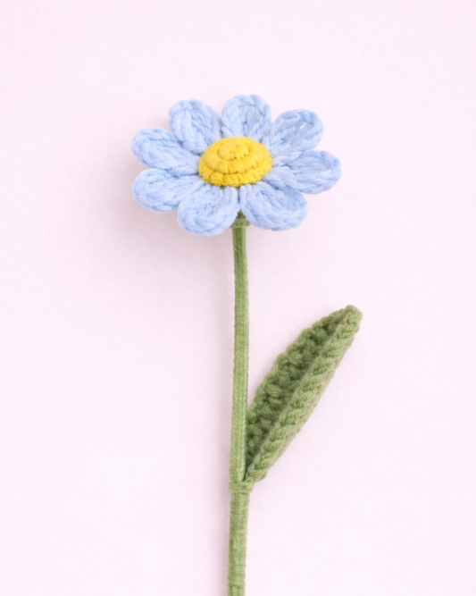 Daisy Blue