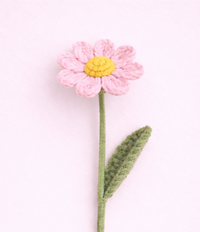 Daisy Pink