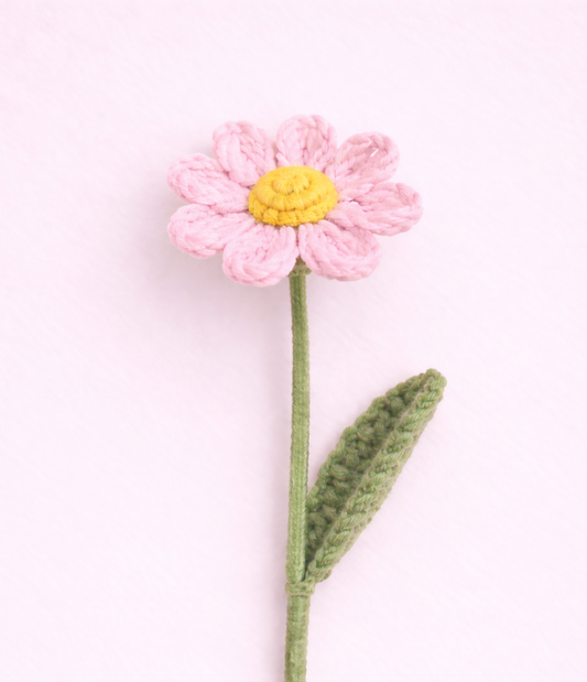 Daisy Pink