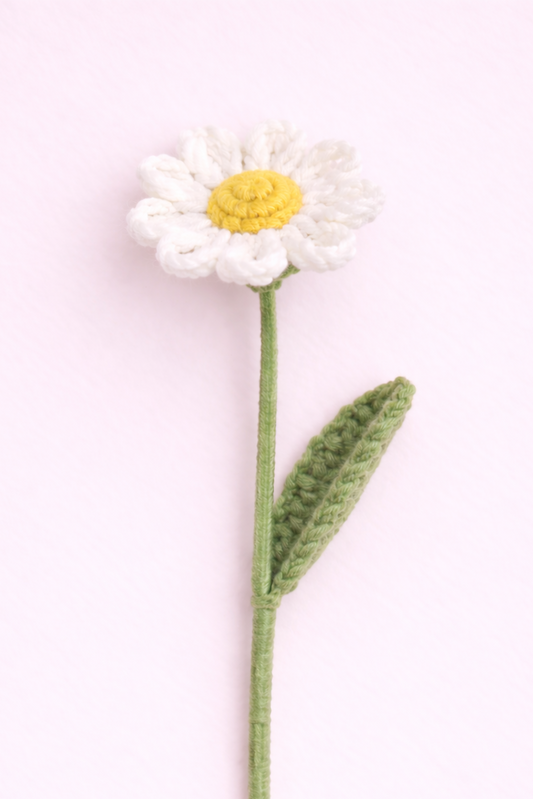 Daisy White